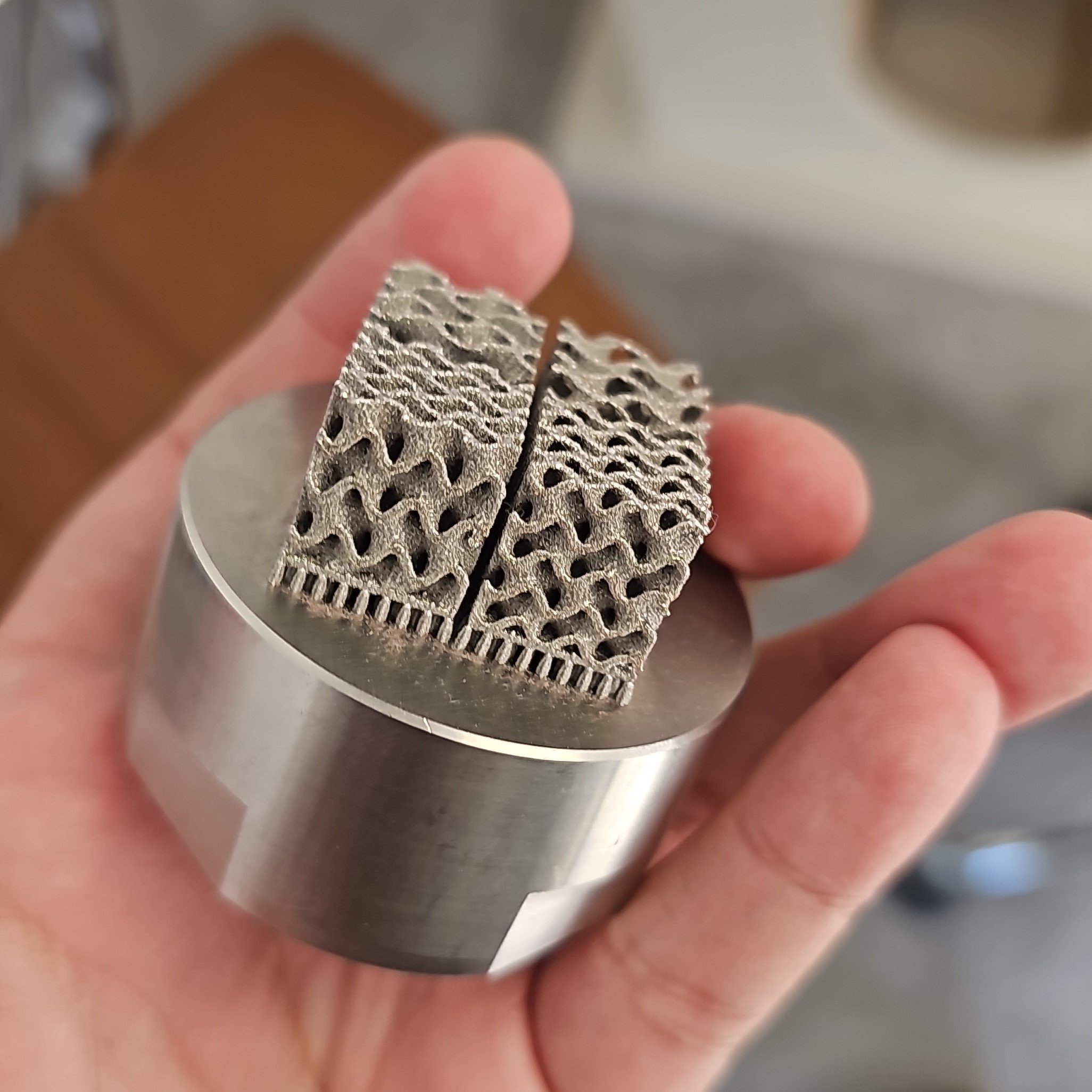 Gyroid lattice part on its build plate, printed on an AO Metal printer